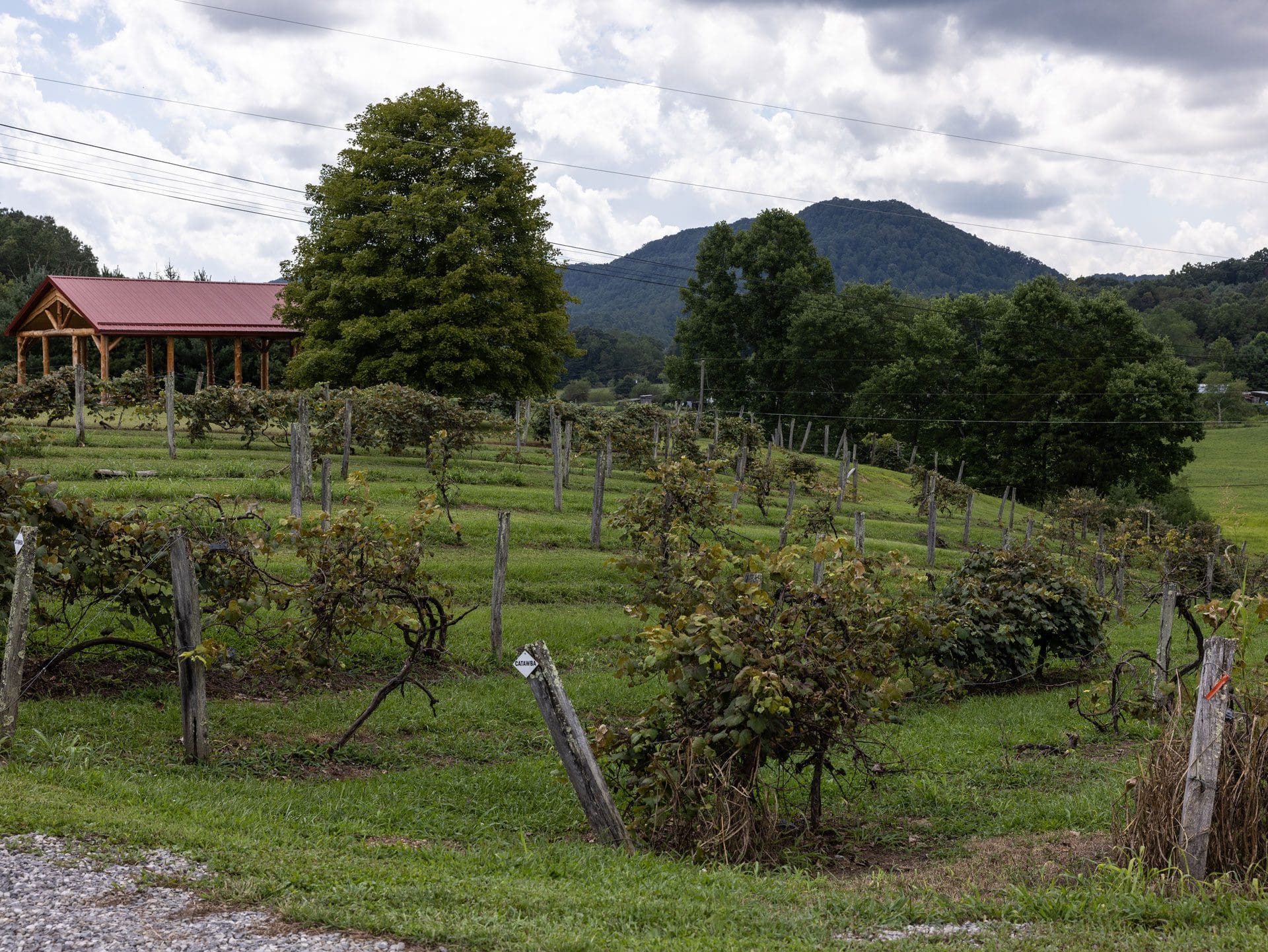 kirkwood-winery